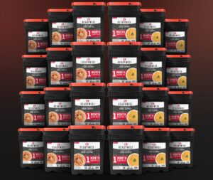 ReadyWise - 84 porcije doručka i glavnog jela